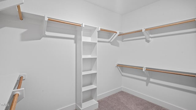 1733 Birdhaven Ln Lot 2217, Wendell, NC 27591 - spacious closet with carpet flooring