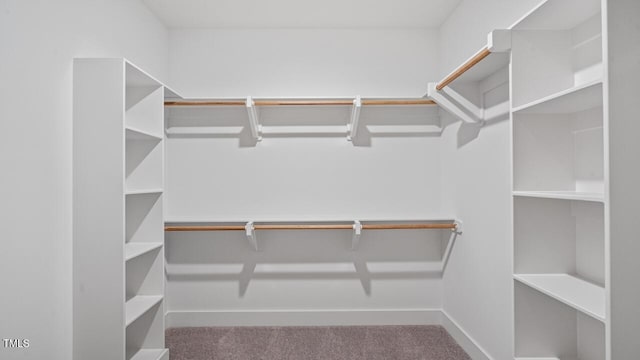 1733 Birdhaven Ln Lot 2217, Wendell, NC 27591 - walk in closet featuring carpet flooring