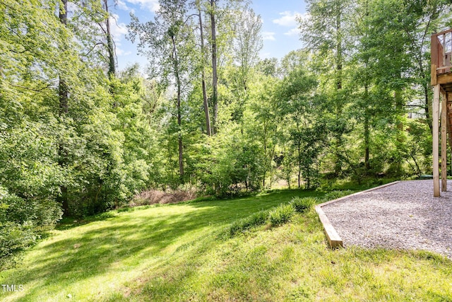 200 Weybossett Rd, Henderson, NC 27537 - view of yard
