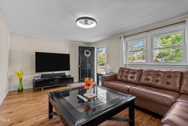 living area featuring light wood finished floors, ornamental molding, and baseboards