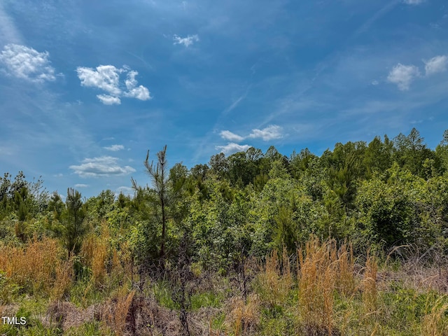 167.10 Leasburg Rd, Roxboro, NC 27574