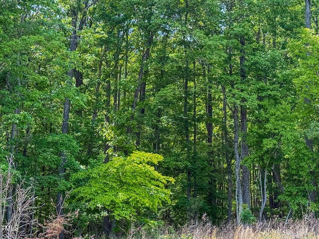 167.10 Leasburg Rd, Roxboro, NC 27574
