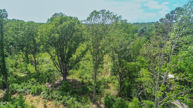 167.10 Leasburg Rd, Roxboro, NC 27574