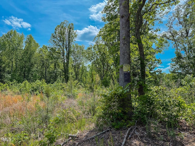 167.10 Leasburg Rd, Roxboro, NC 27574