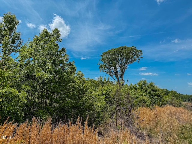 167.10 Leasburg Rd, Roxboro, NC 27574