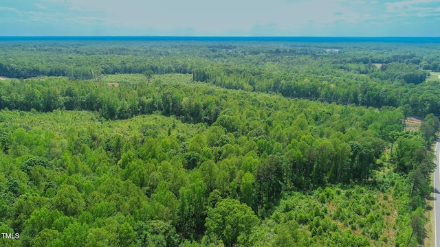 167.10 Leasburg Rd, Roxboro, NC 27574