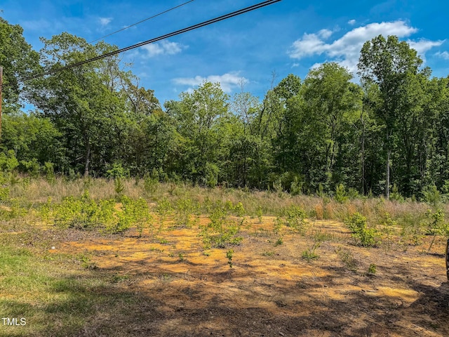 167.10 Leasburg Rd, Roxboro, NC 27574
