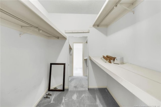 spacious closet featuring carpet