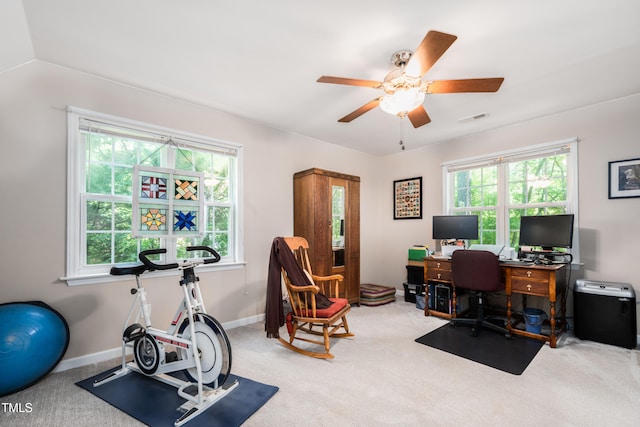 1166 NC Highway 87 N, Pittsboro, NC 27312 - office area with carpet floors, a wealth of natural light, and visible vents