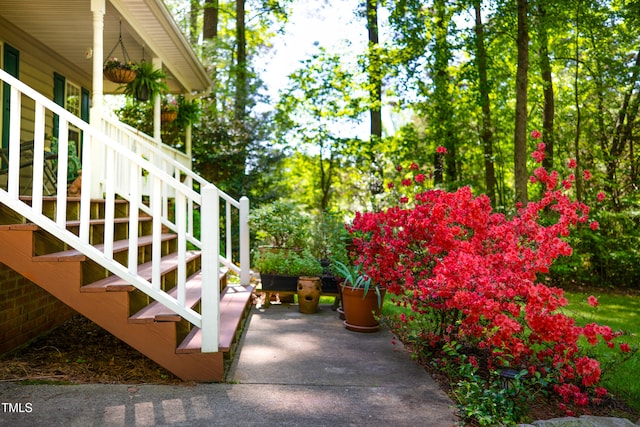 1166 NC Highway 87 N, Pittsboro, NC 27312 - exterior space with stairs