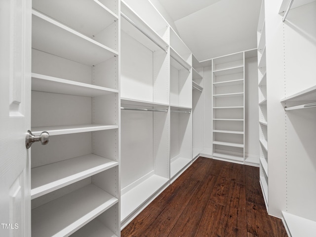 spacious closet with dark wood finished floors