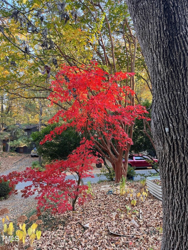 1605 Valley Run, Durham, NC 27707 - view of yard