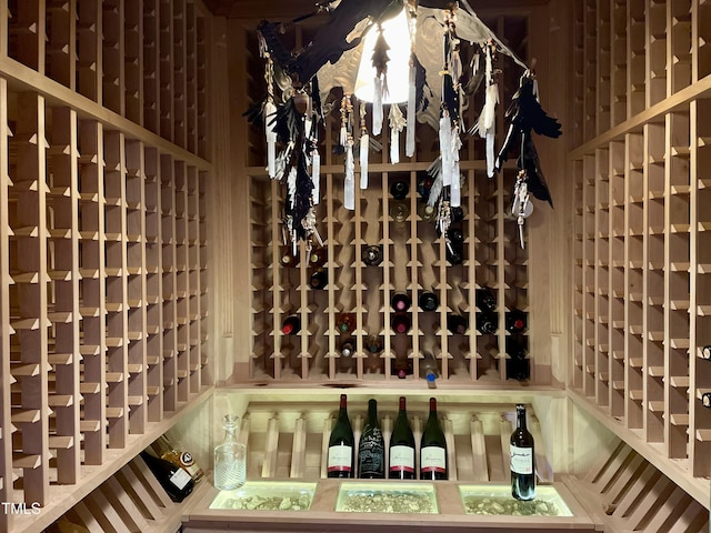 view of wine cellar