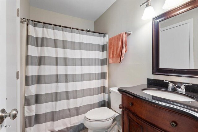 full bathroom featuring toilet, a shower with curtain, and vanity