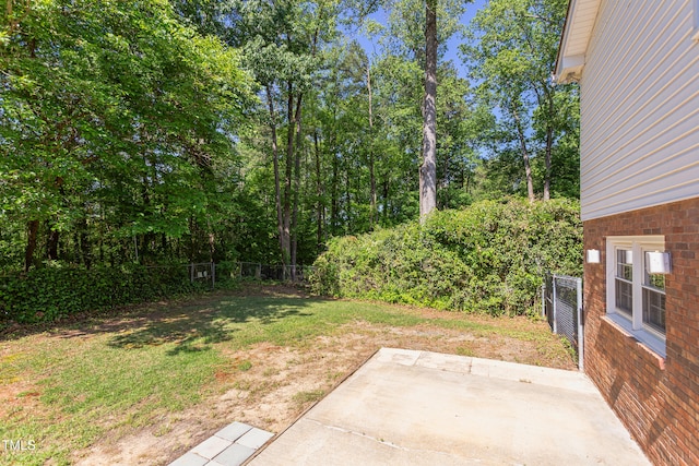 view of yard featuring a fenced backyard and a patio