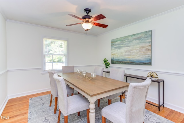 4300 Edgehill Ct, Raleigh, NC 27612 - photo 9