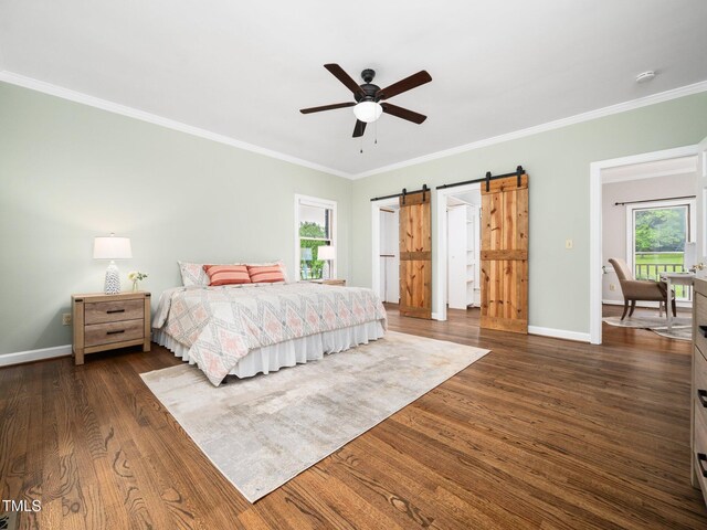 12823 Summerwind Trl, Rougemont, NC 27572 - bedroom with multiple windows, dark wood-type flooring, baseboards, and ornamental molding
