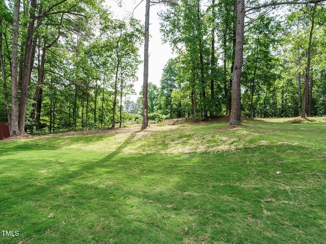 1481 Carolina Dr, Sanford, NC 27332 - photo 27