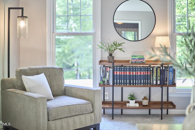 sitting room featuring carpet flooring