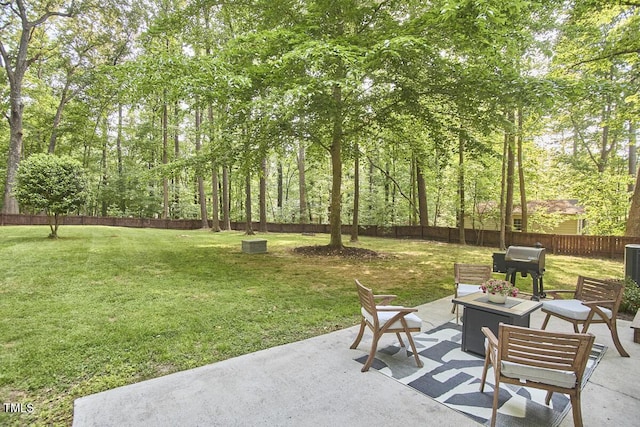 view of yard featuring a fenced backyard and a patio area