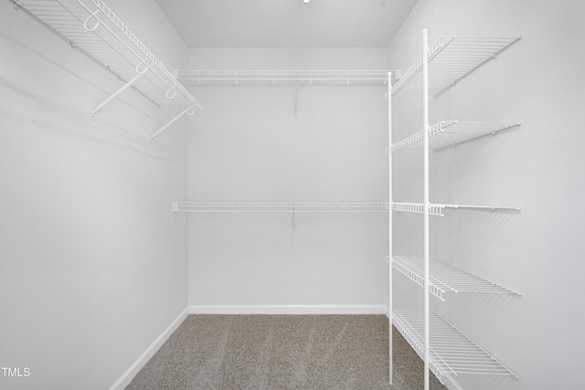 spacious closet featuring carpet floors