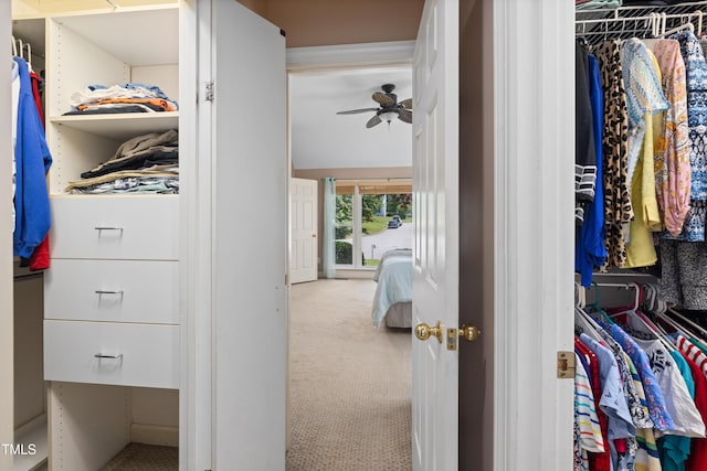 spacious closet with carpet floors and a ceiling fan