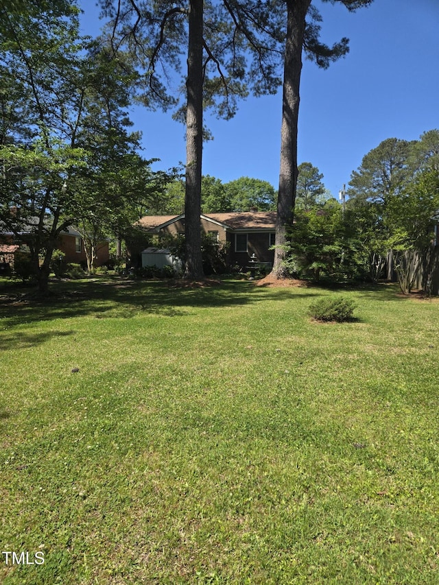 view of green lawn