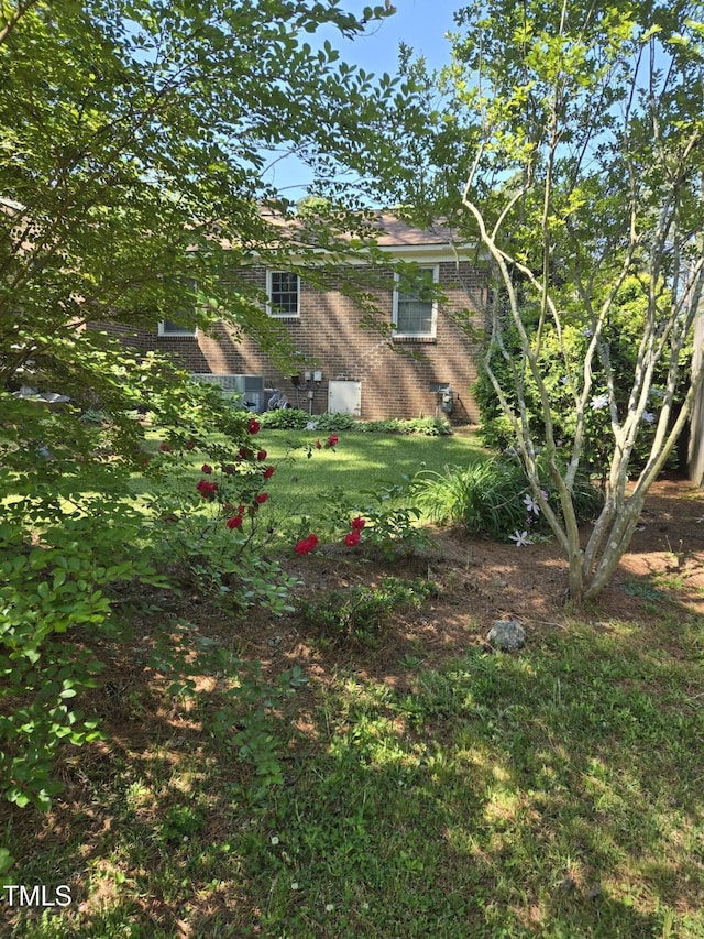 view of green lawn