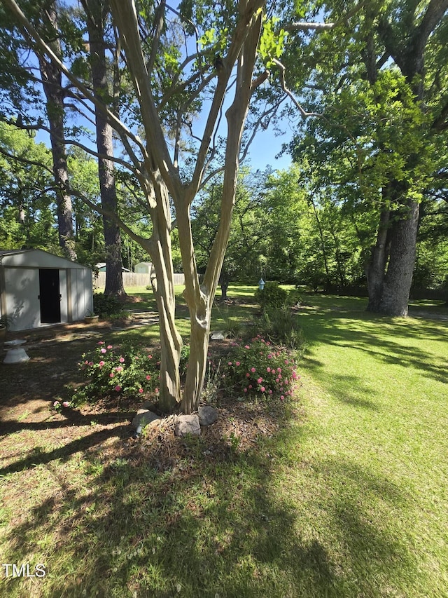 view of grassy yard featuring a storage unit and an outdoor structure