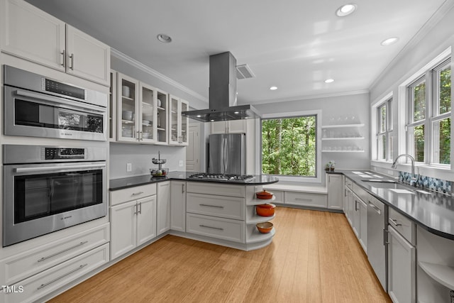 kitchen with open shelves, light wood-style floors, island range hood, a sink, and stainless steel appliances