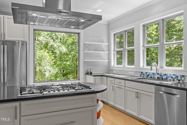 kitchen with appliances with stainless steel finishes, a sink, ventilation hood, white cabinetry, and ornamental molding