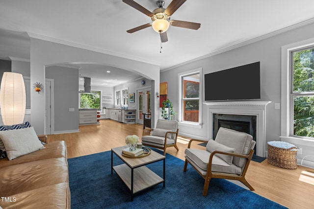 living area with ornamental molding, a glass covered fireplace, wood finished floors, arched walkways, and a ceiling fan