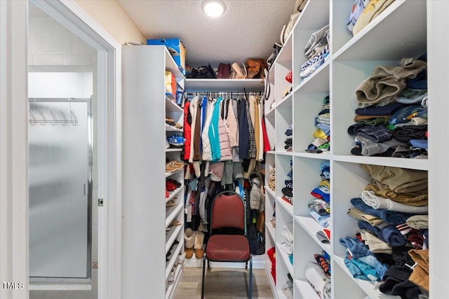 walk in closet featuring wood finished floors