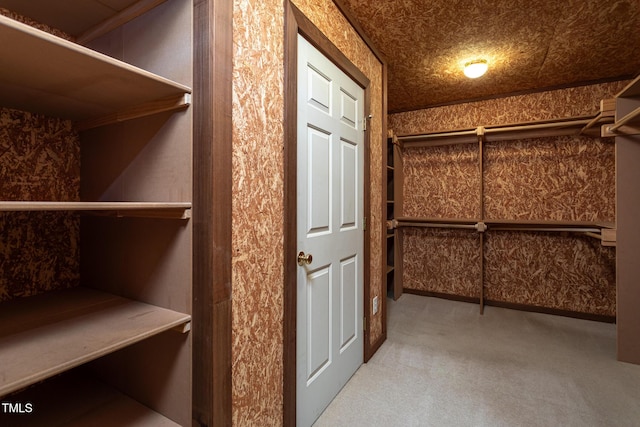 spacious closet featuring carpet floors