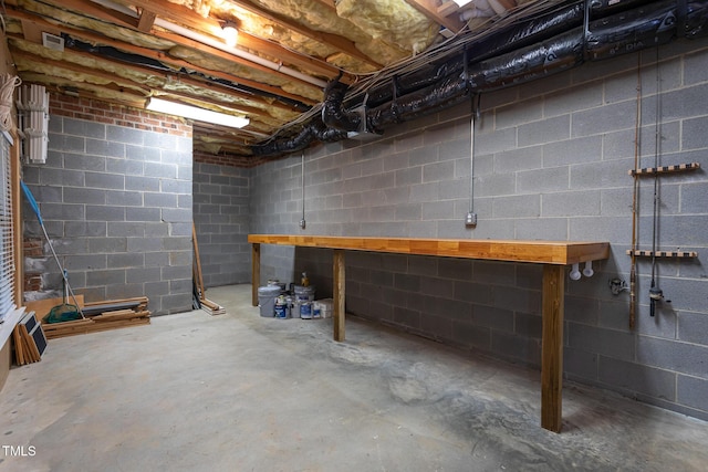 view of unfinished below grade area