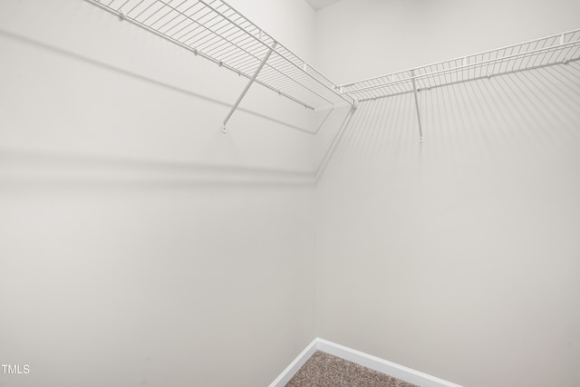 walk in closet featuring carpet flooring