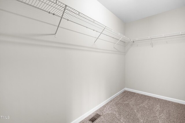 walk in closet featuring carpet floors and visible vents