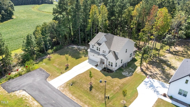 bird's eye view