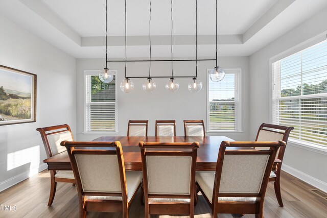 dining space featuring plenty of natural light and a raised ceiling