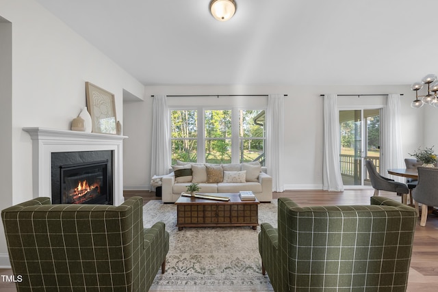 living room featuring a premium fireplace and wood finished floors