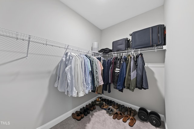 spacious closet with carpet floors