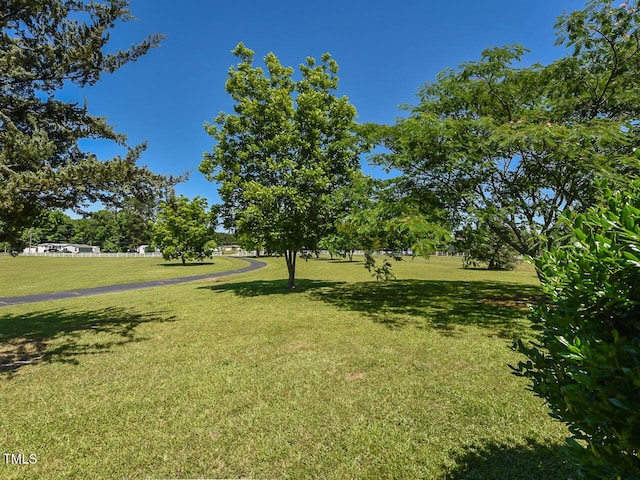 2371 NC-210, Smithfield, NC 27577 - view of grassy yard