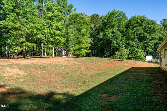 view of yard featuring a storage unit and an outbuilding