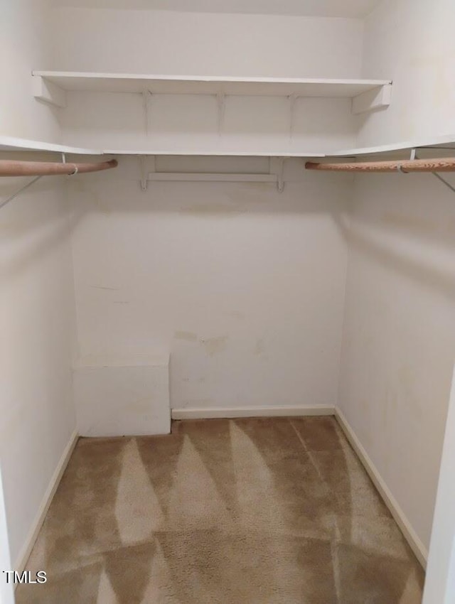 4908 Mandel Rd, Durham, NC 27712 - spacious closet with carpet flooring