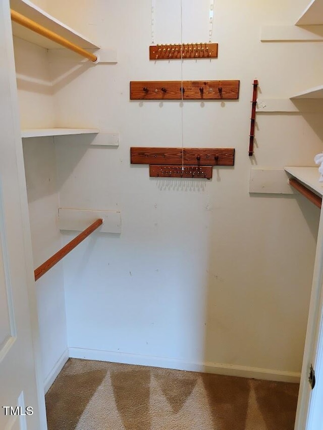 4908 Mandel Rd, Durham, NC 27712 - spacious closet with carpet floors