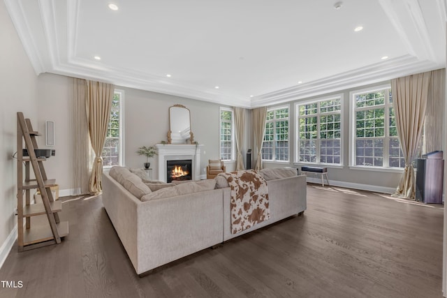 living area featuring baseboards, dark wood finished floors, a glass covered fireplace, and a healthy amount of sunlight