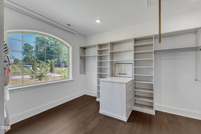 walk in closet featuring dark wood finished floors