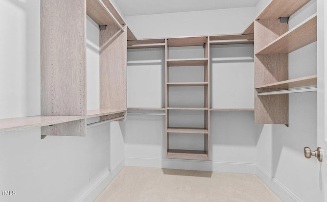 walk in closet with carpet