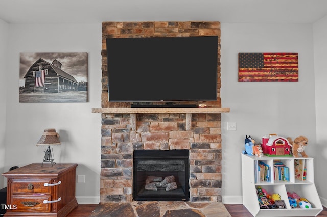 details featuring baseboards, a stone fireplace, and wood finished floors