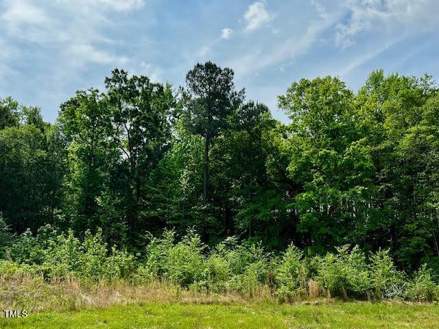 196 Cozy Brook Ct, Clayton, NC 27520 - photo 26